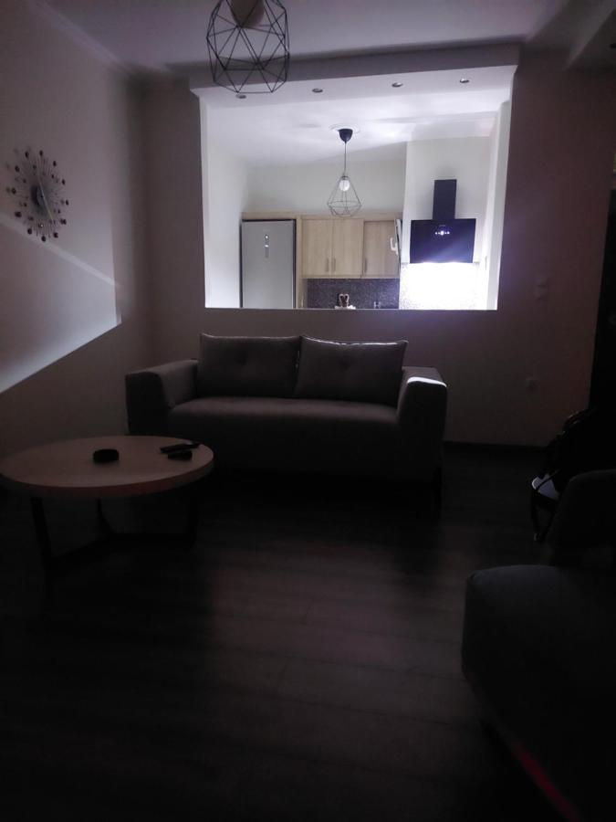 Luxury Apartment Overlooking The Citadel Of Tsakas Athens Luaran gambar